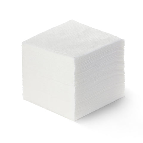Premium Toilet Tissue Dispenser (Stainless Steel)