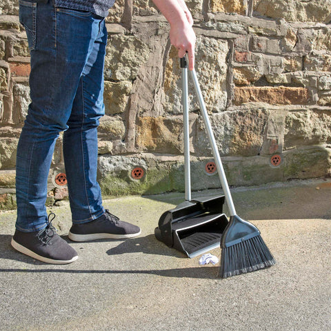 Eco Lobby Dustpan and Brush