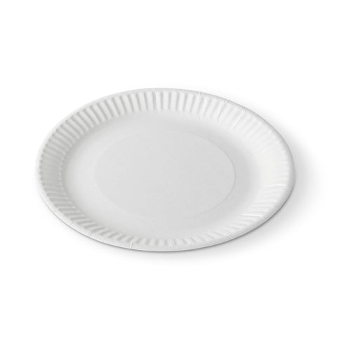 Disposable Paper Plates (1000 pack)