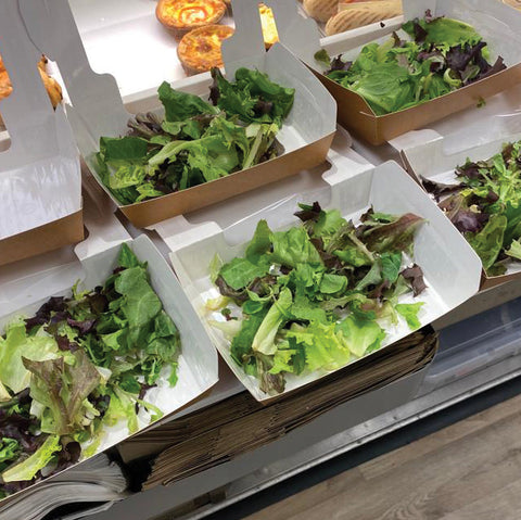Kraft Window Salad Box (360 pack)