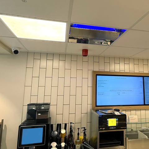 LED Overhead Suspended-ceiling Fly Trap