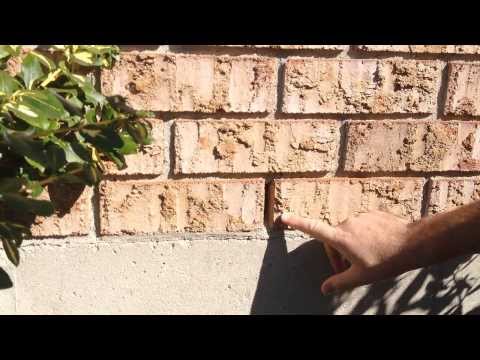 Weep Hole Protector (20 pack)