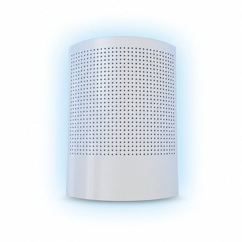 Sunburst LED Glueboard Fly Trap (10 Watt)